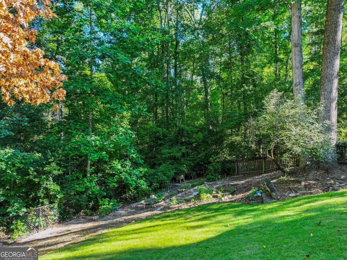 2380 Black Bear Court Buford - 46