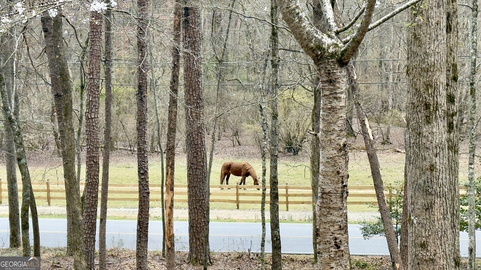 916 Sautee Trail Sautee Nacoochee - 30