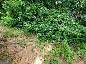 143 Brookside Way Dawsonville - 25