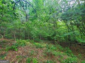 385 Mcclain Mountain Road Jasper - 55