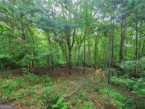 385 Mcclain Mountain Road Jasper - 56