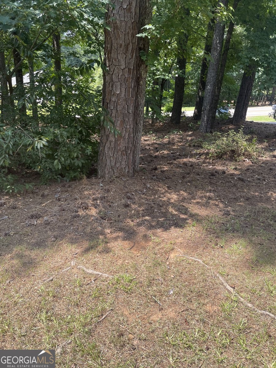 1276 Turner Church Road McDonough - 3