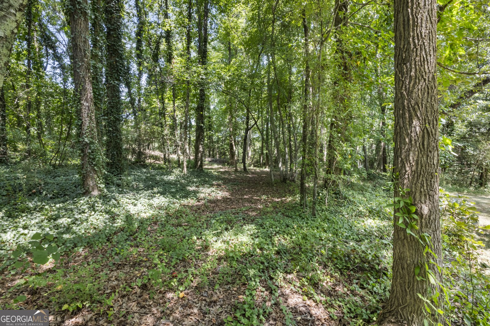 3390 Hickory Crest Drive Marietta - 11