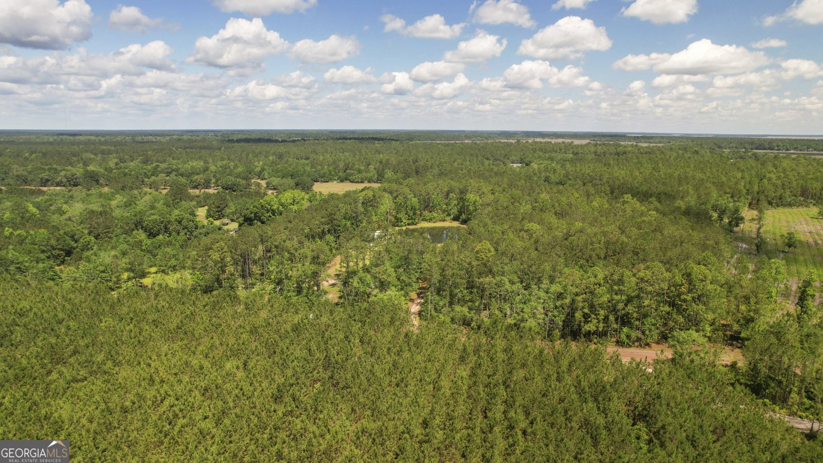 1653 Hawthorne Road Townsend - 29
