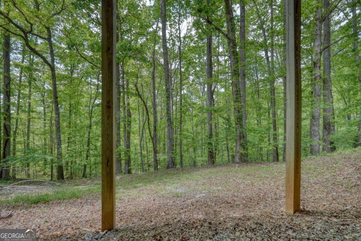 4200 Bobbie Lane Young Harris - 45