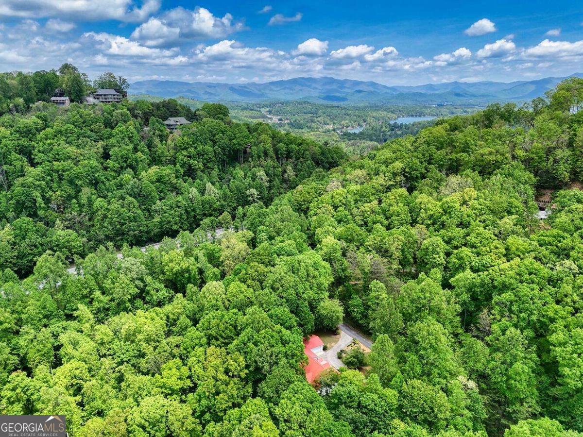 4200 Bobbie Lane Young Harris - 60