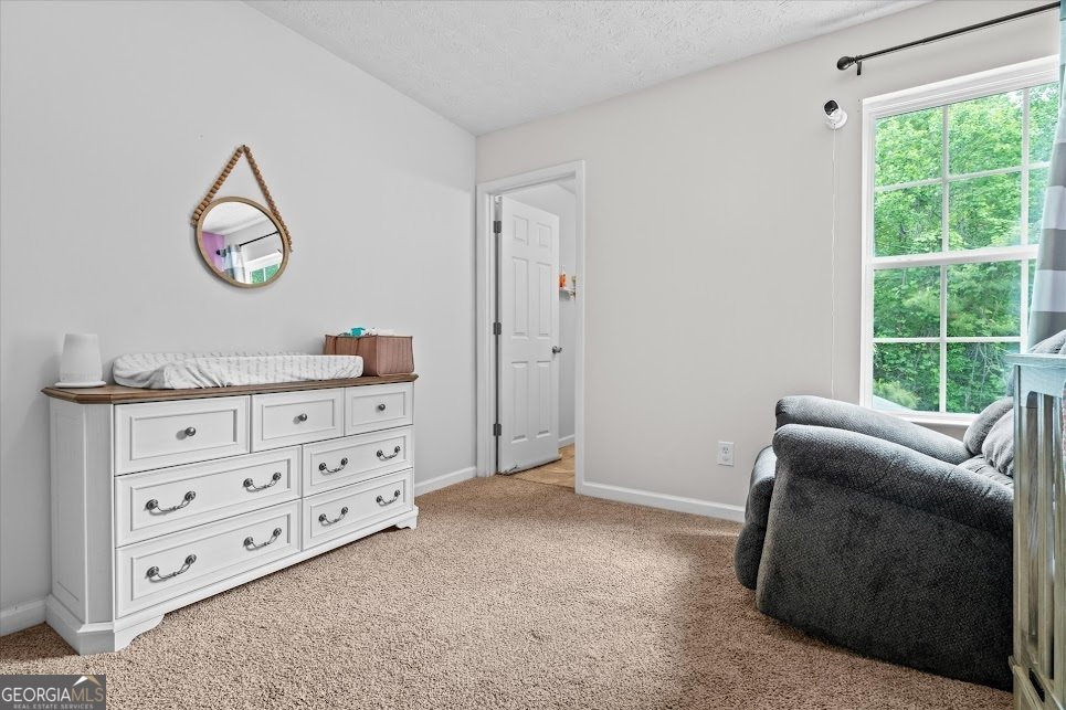 127 Ashgate Way Carrollton - 27