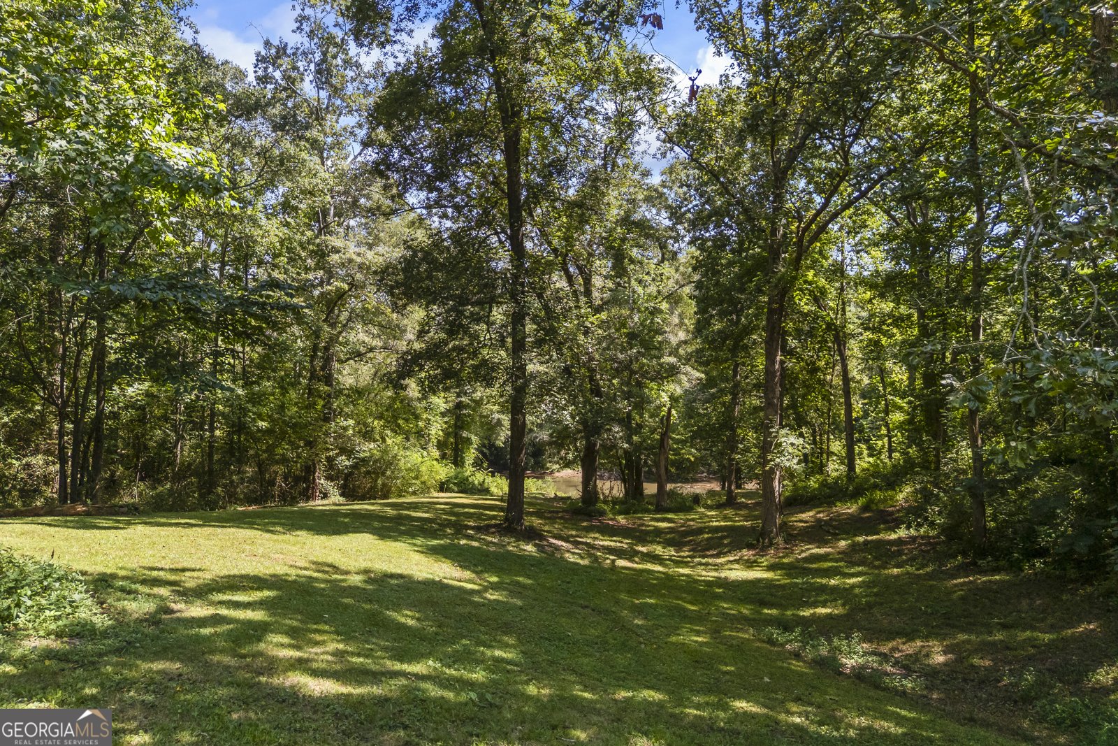 329 Riverbend Drive Royston - 58