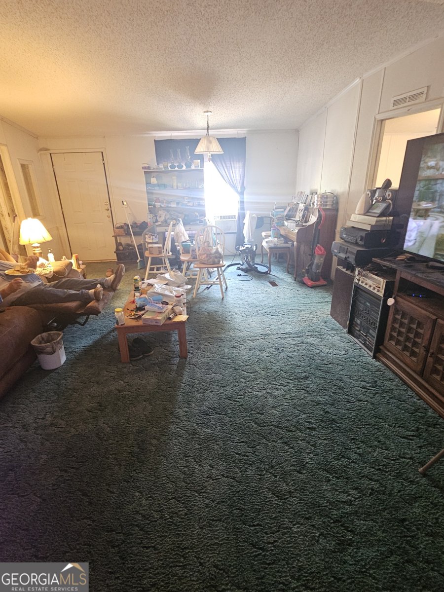 267 Williams Road Tallapoosa - 14