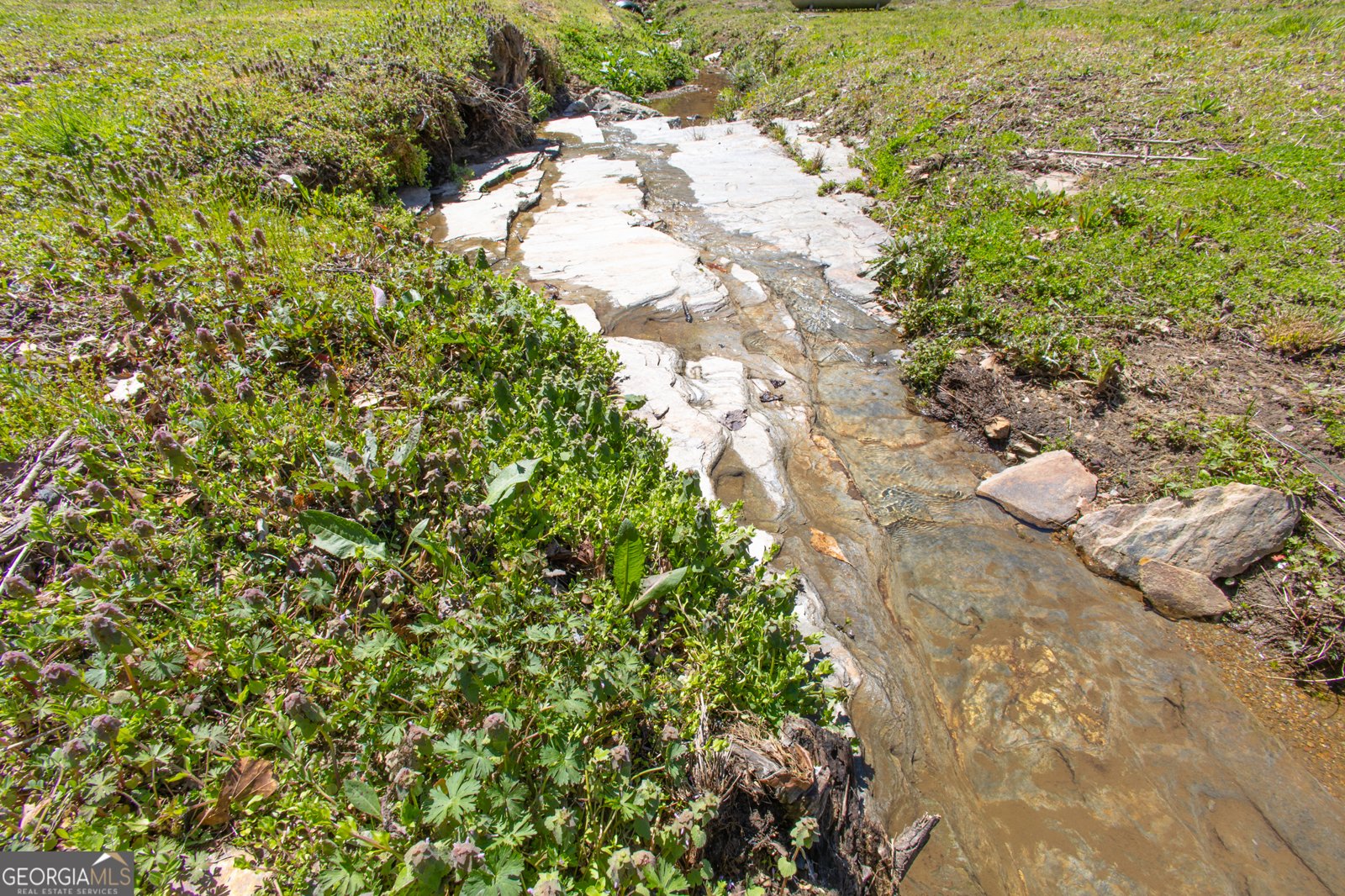 727 County Road 677 Ranburne - 20