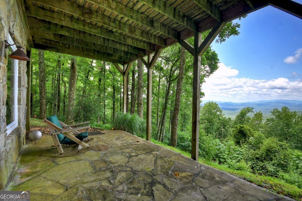 1665 Walnut Ridge Ellijay - 1