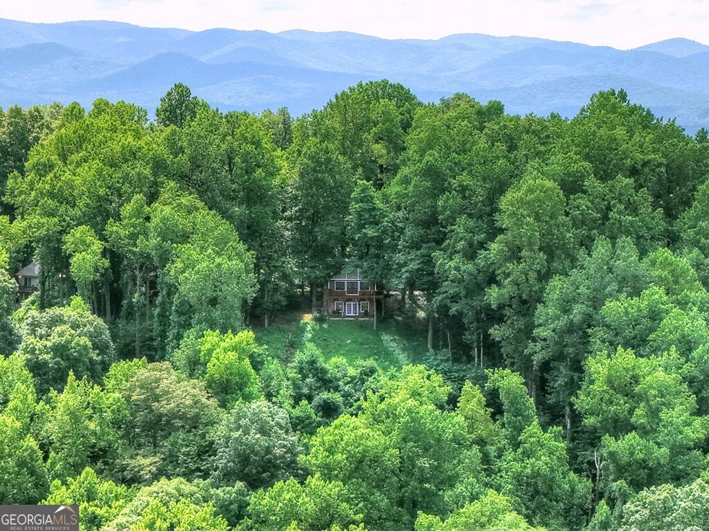 1665 Walnut Ridge Ellijay - 39