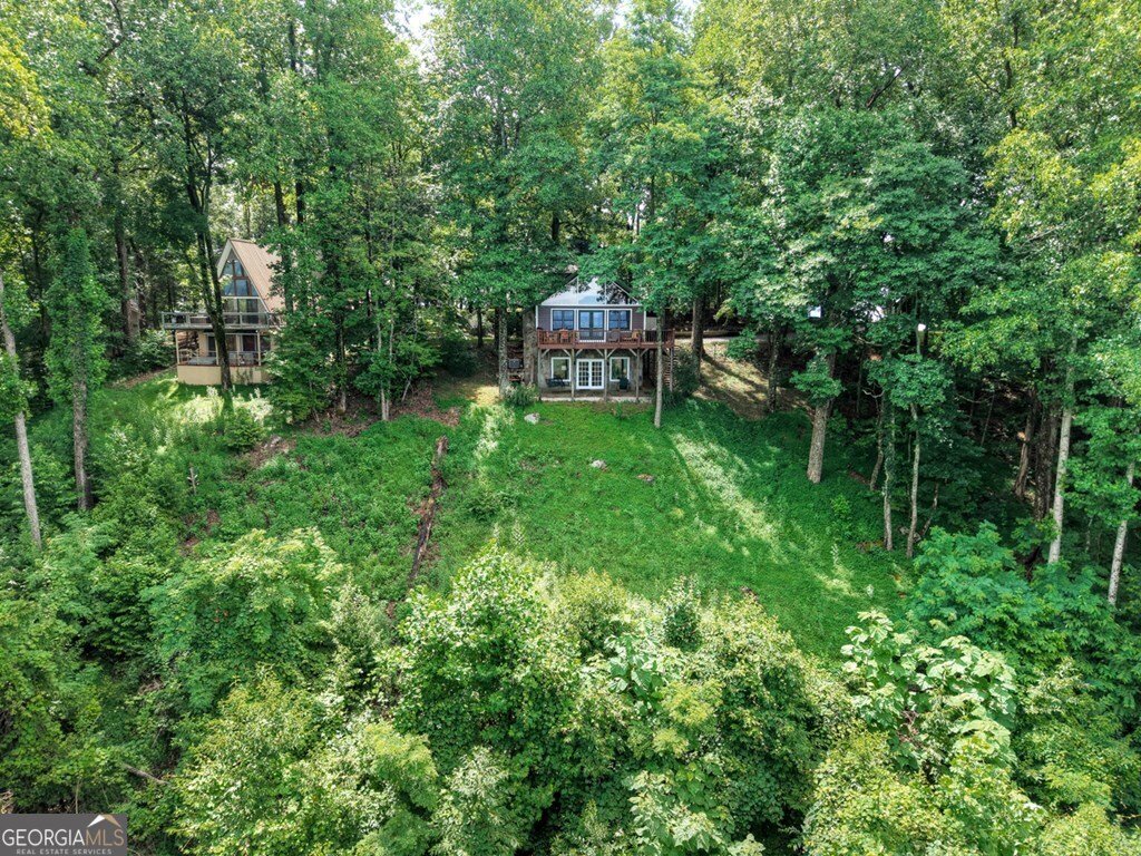 1665 Walnut Ridge Ellijay - 41
