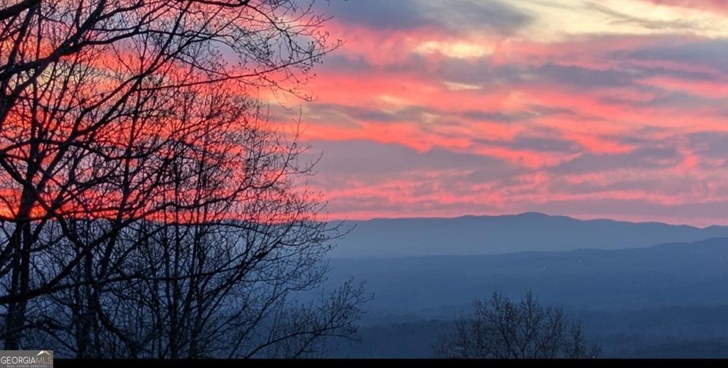 1665 Walnut Ridge Ellijay - 47