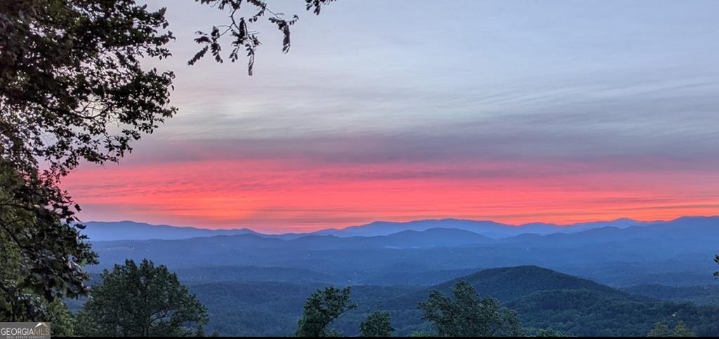 1665 Walnut Ridge Ellijay - 48