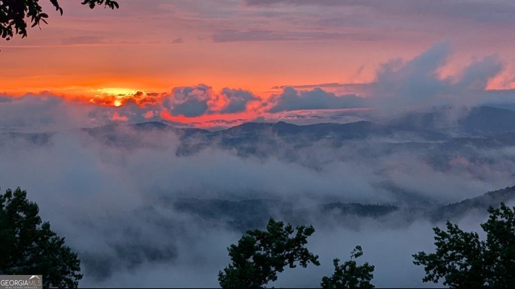 1665 Walnut Ridge Ellijay - 49
