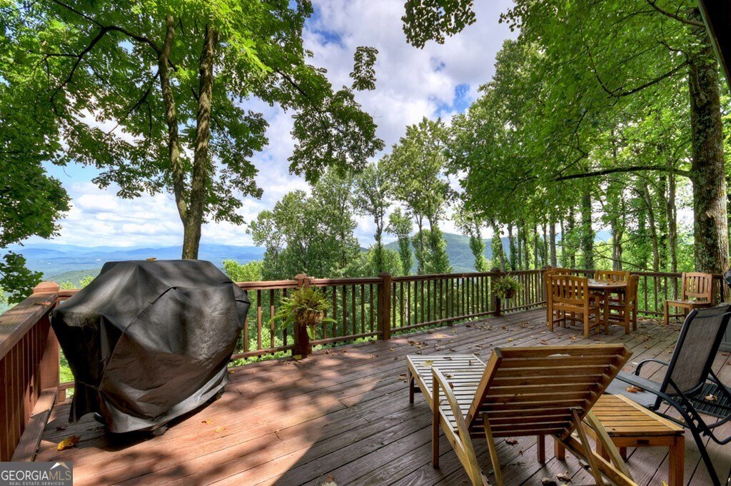 1665 Walnut Ridge Ellijay - 5