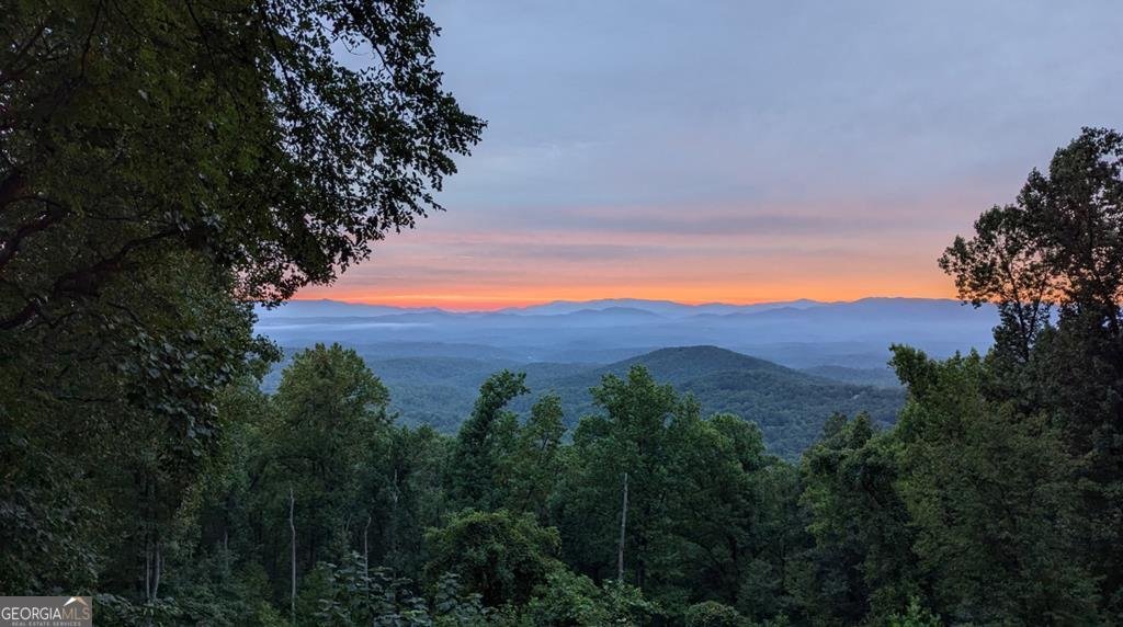 1665 Walnut Ridge Ellijay - 50