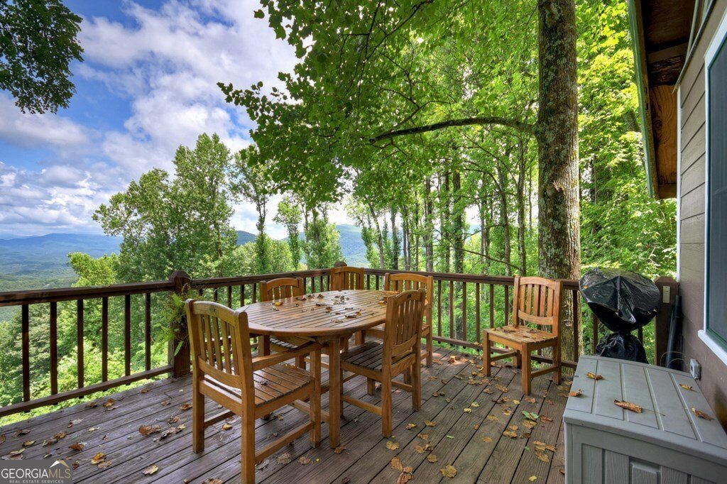 1665 Walnut Ridge Ellijay - 6
