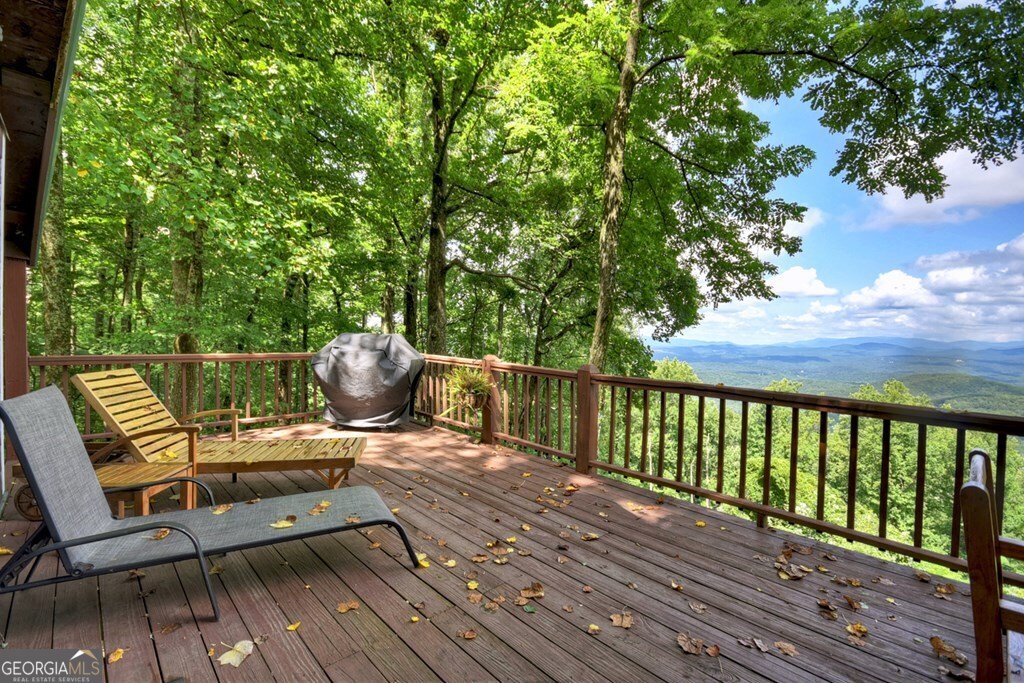 1665 Walnut Ridge Ellijay - 7