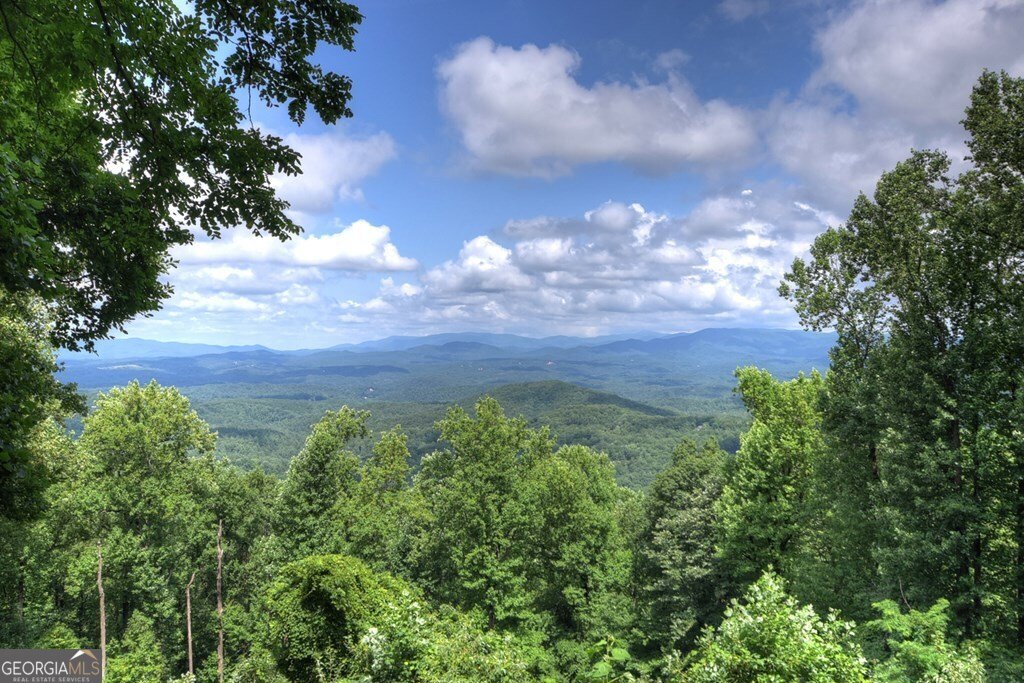 1665 Walnut Ridge Ellijay - 8