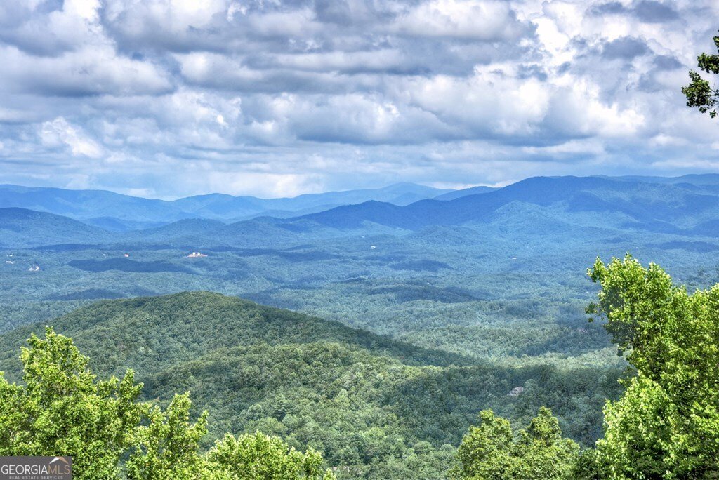 1665 Walnut Ridge Ellijay - 9