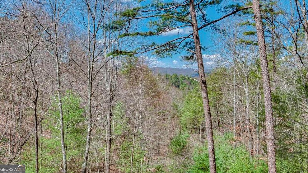 175 White Tail Ridge Road Blue Ridge - 5