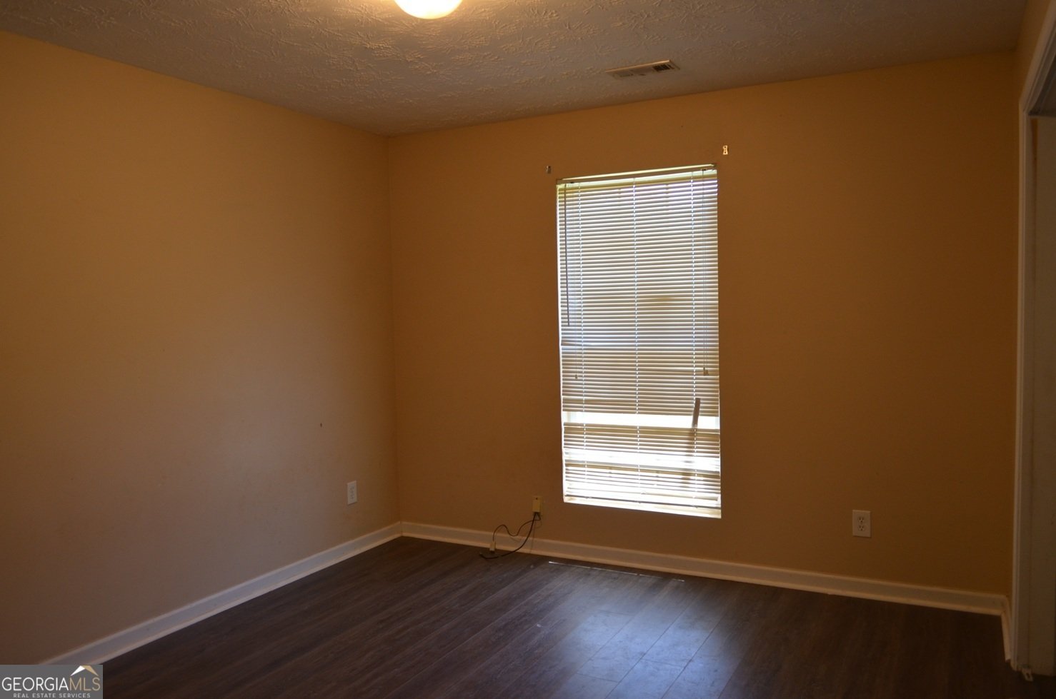 36 Tomkins Creek Trail Forsyth - 10