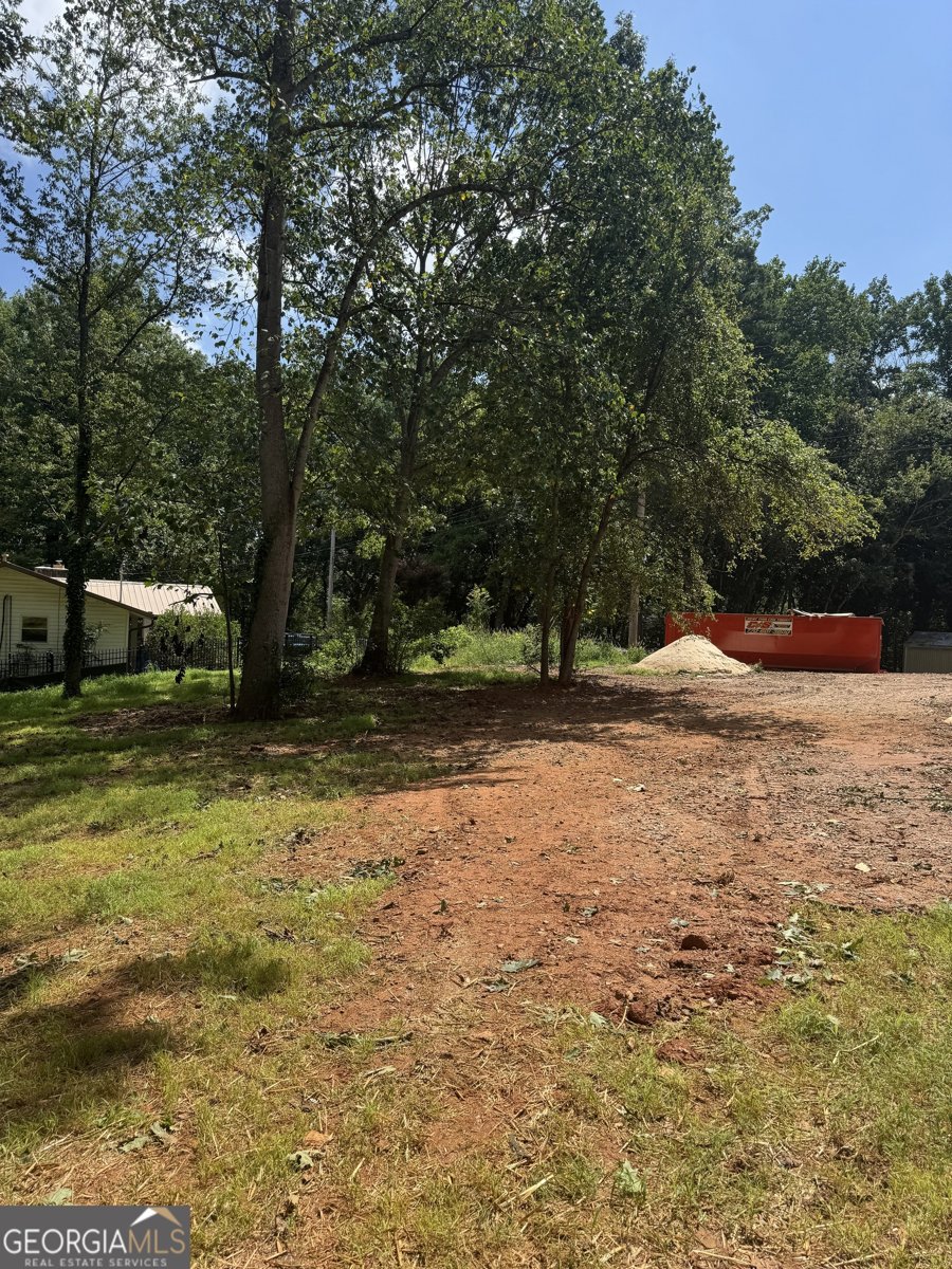 3374 Lee Drive Buford - 4