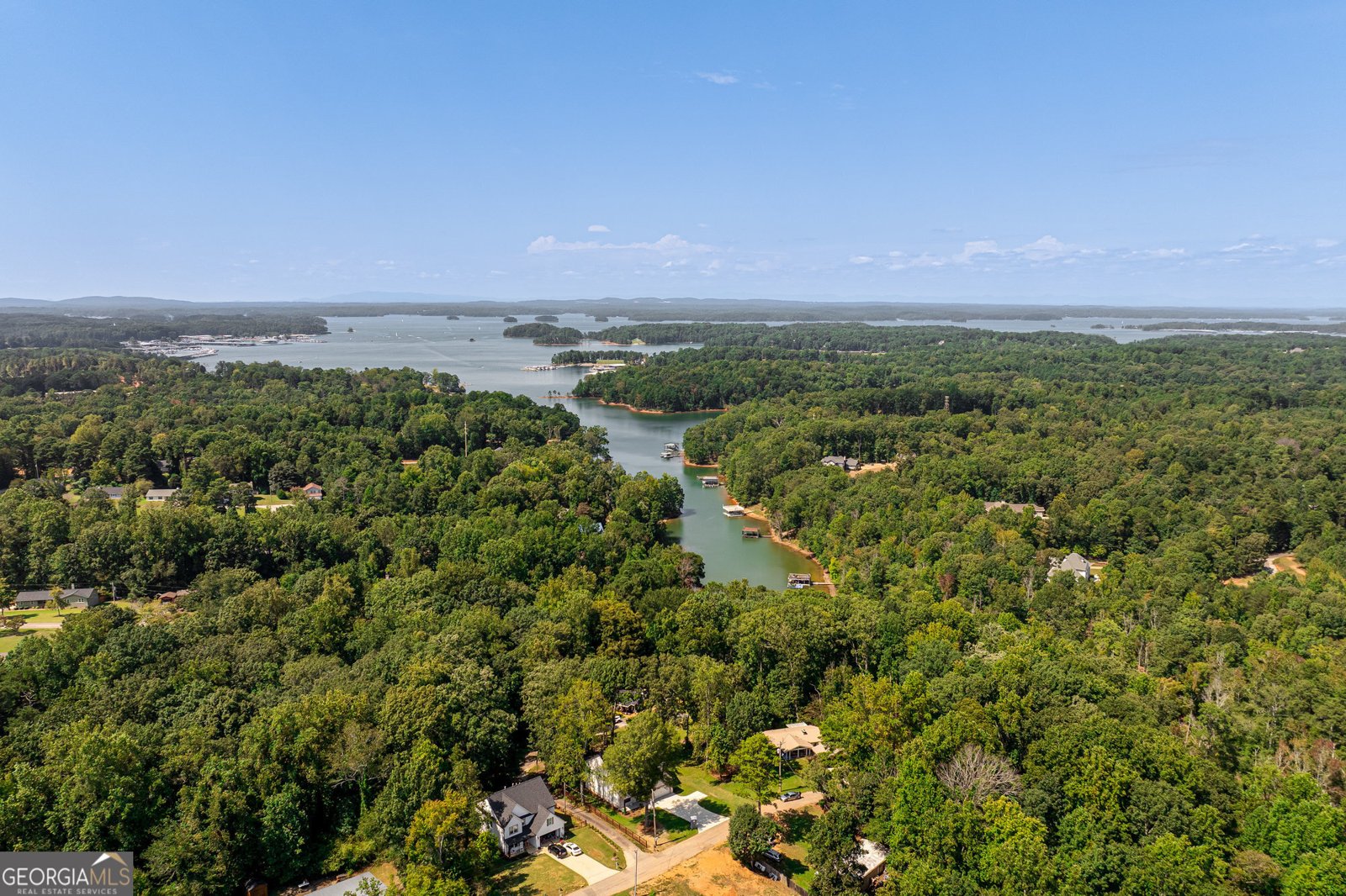 3374 Lee Drive Buford - 54
