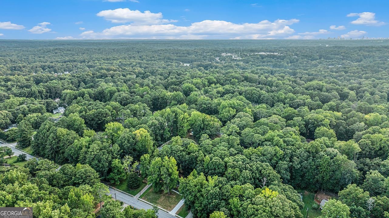 1028 MARTIN Stone Mountain - 41