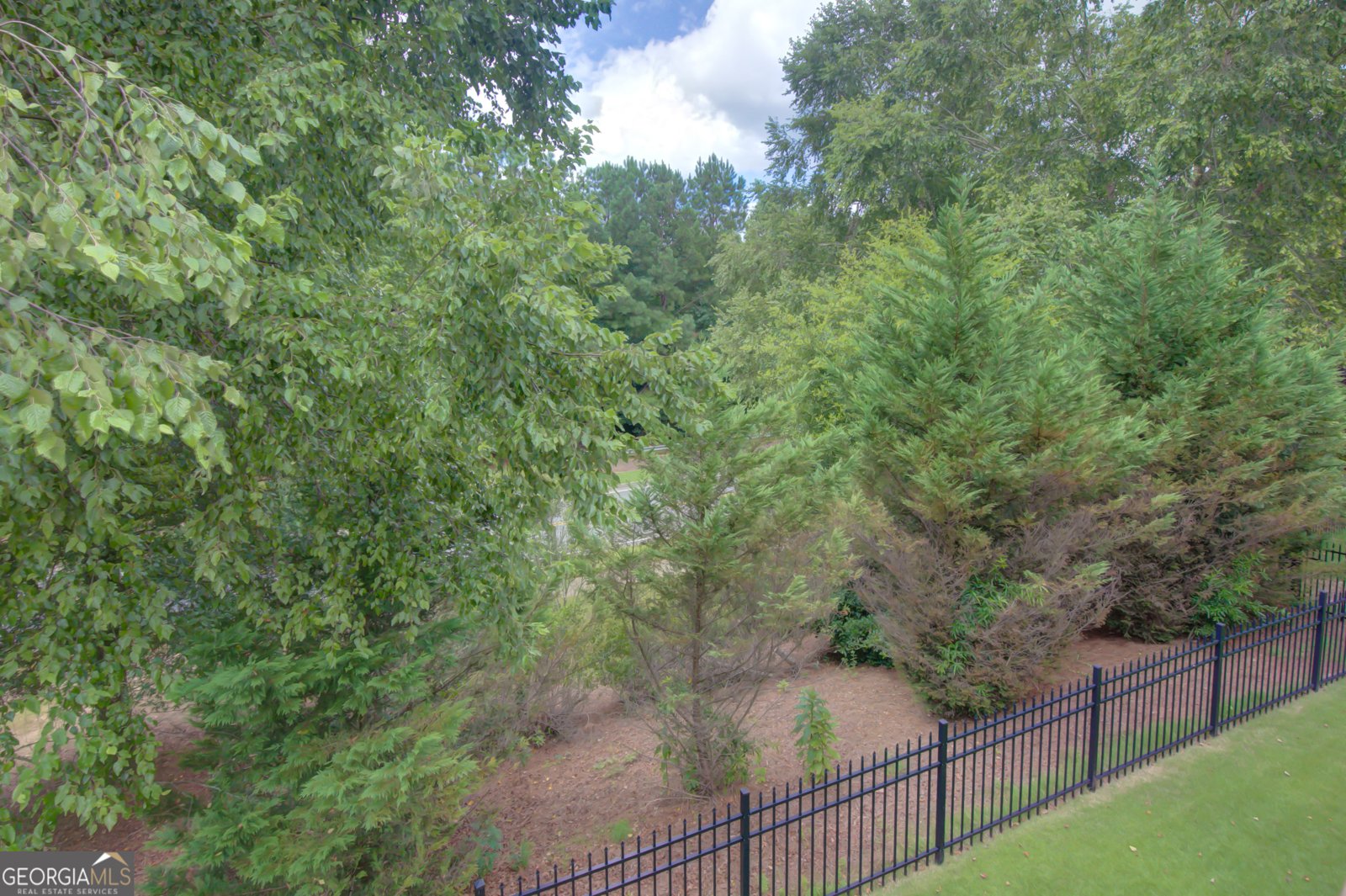 63 Seabiscuit Court Newnan - 43