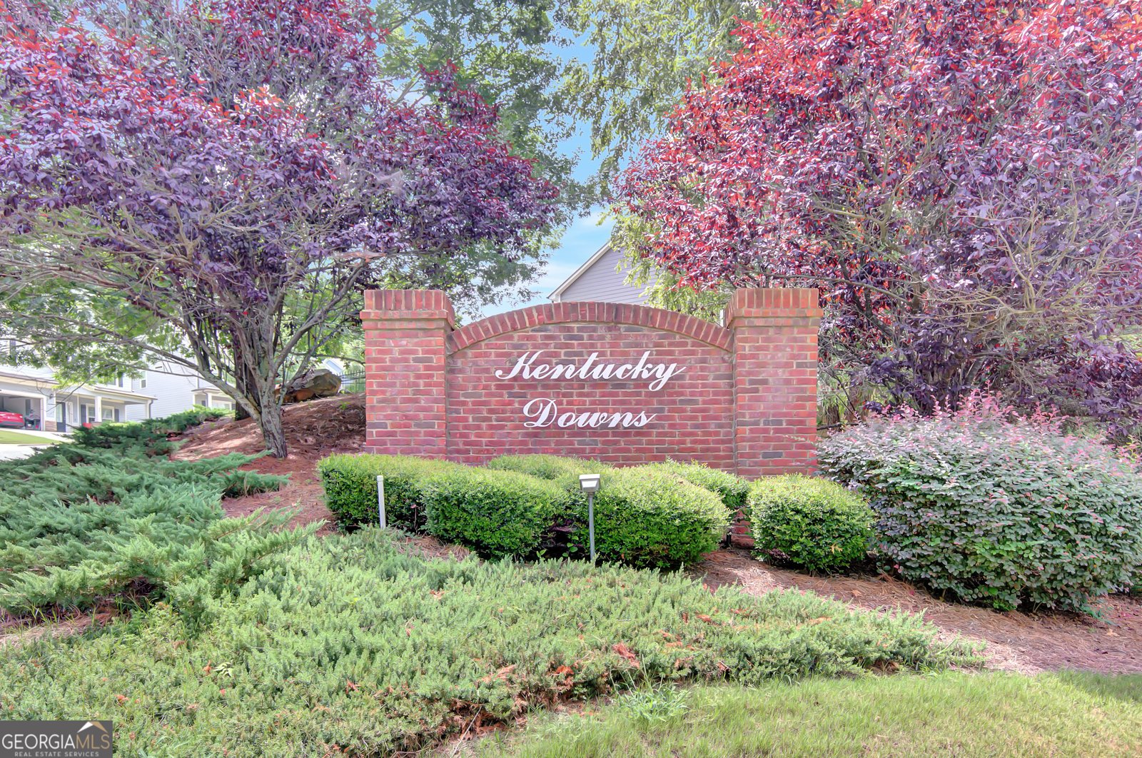 63 Seabiscuit Court Newnan - 46