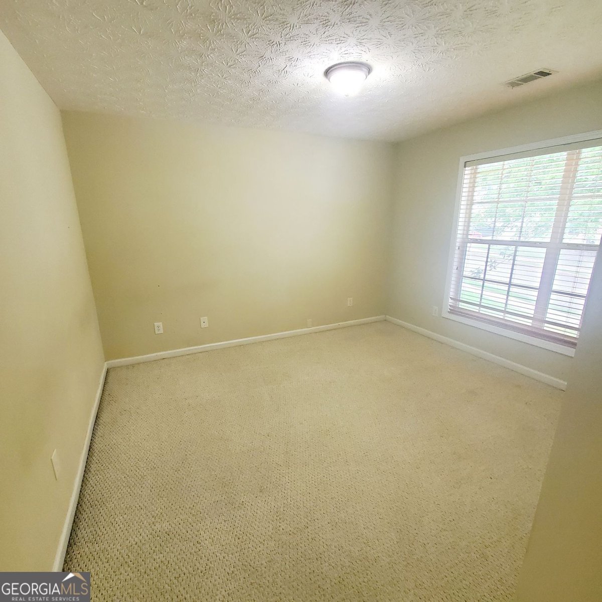 3520 Southpointe Hill Drive Buford - 28