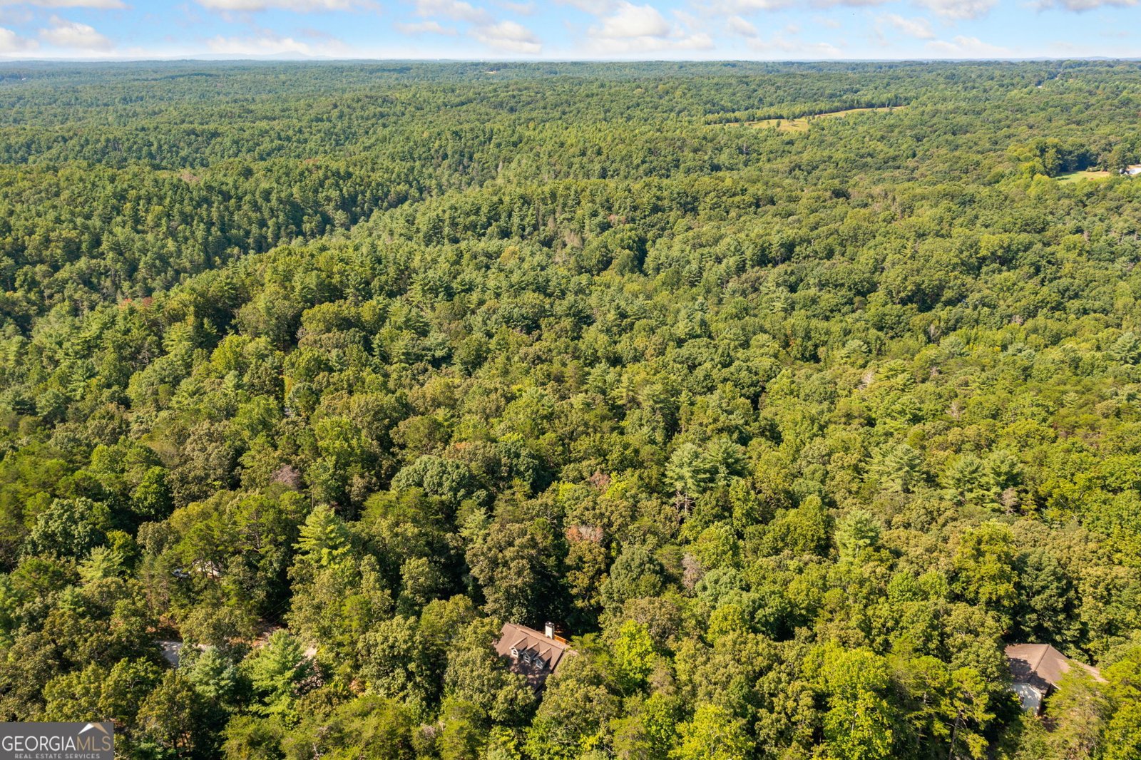 194 Deerfield Drive Dahlonega - 2