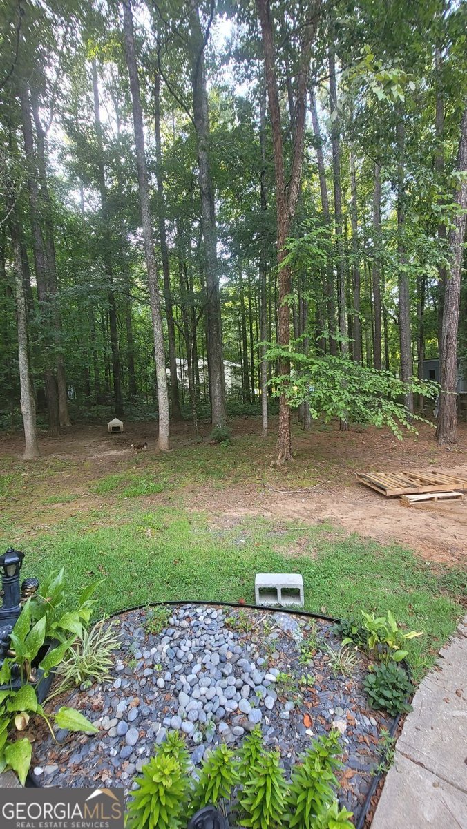 6755 Alexander Parkway Douglasville - 8