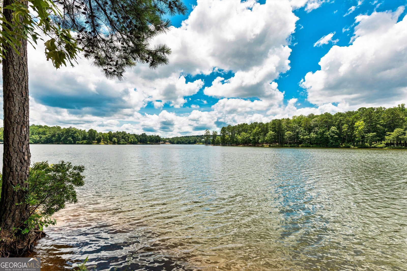 125 Cove Drive Peachtree City - 86
