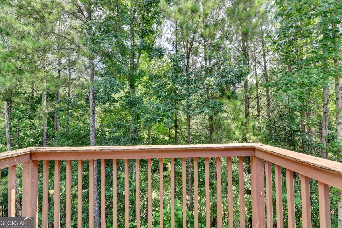 3282 Mill Springs Circle Buford - 19