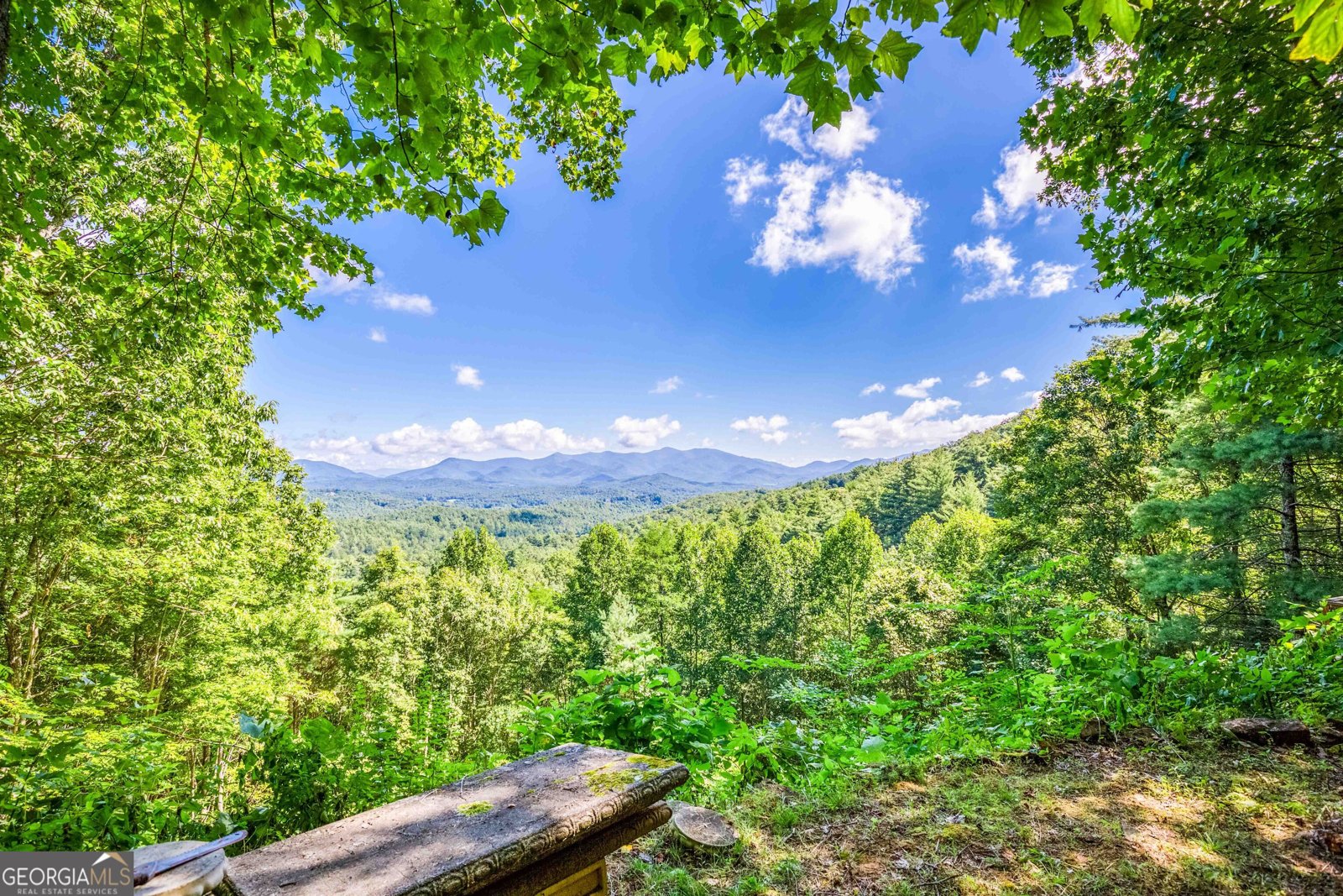 411 Chestnut Cove Road Blairsville - 11