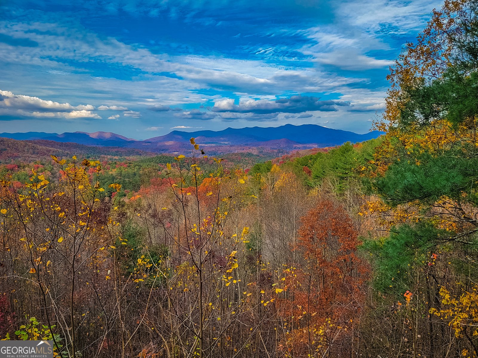 411 Chestnut Cove Road Blairsville - 21