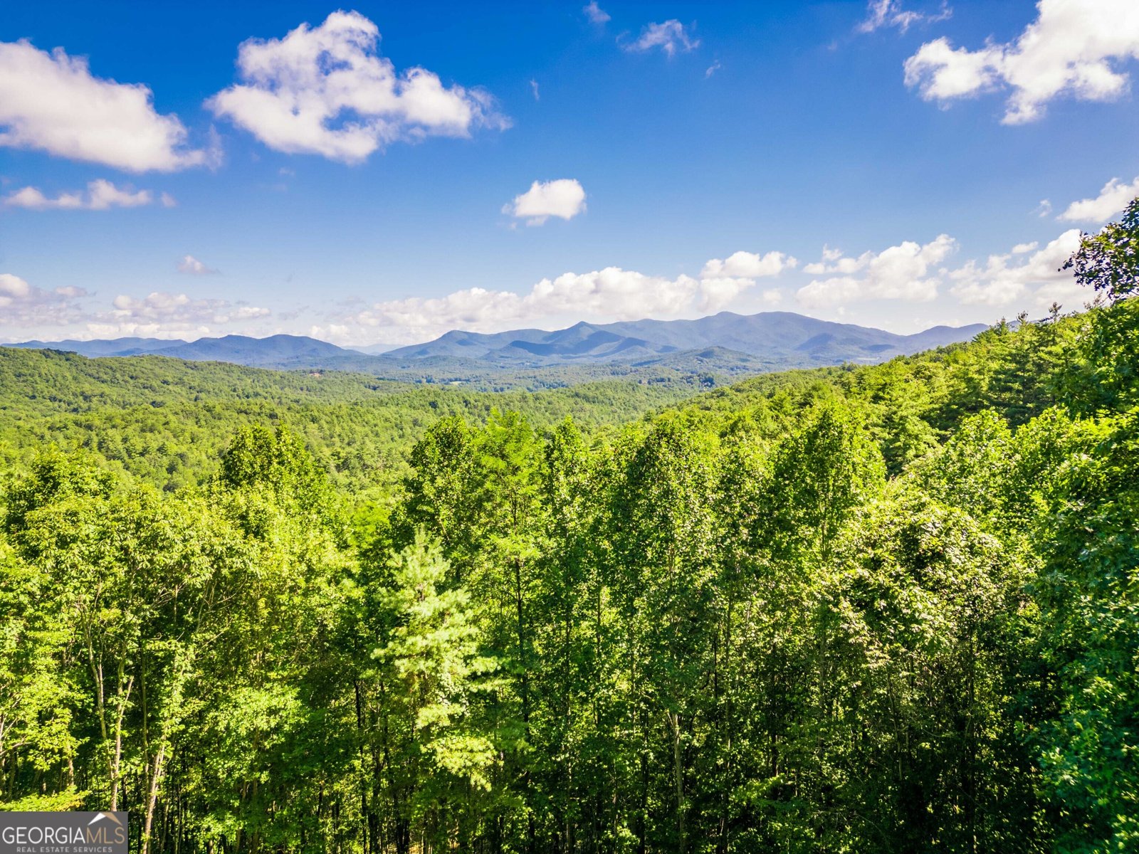 411 Chestnut Cove Road Blairsville - 6