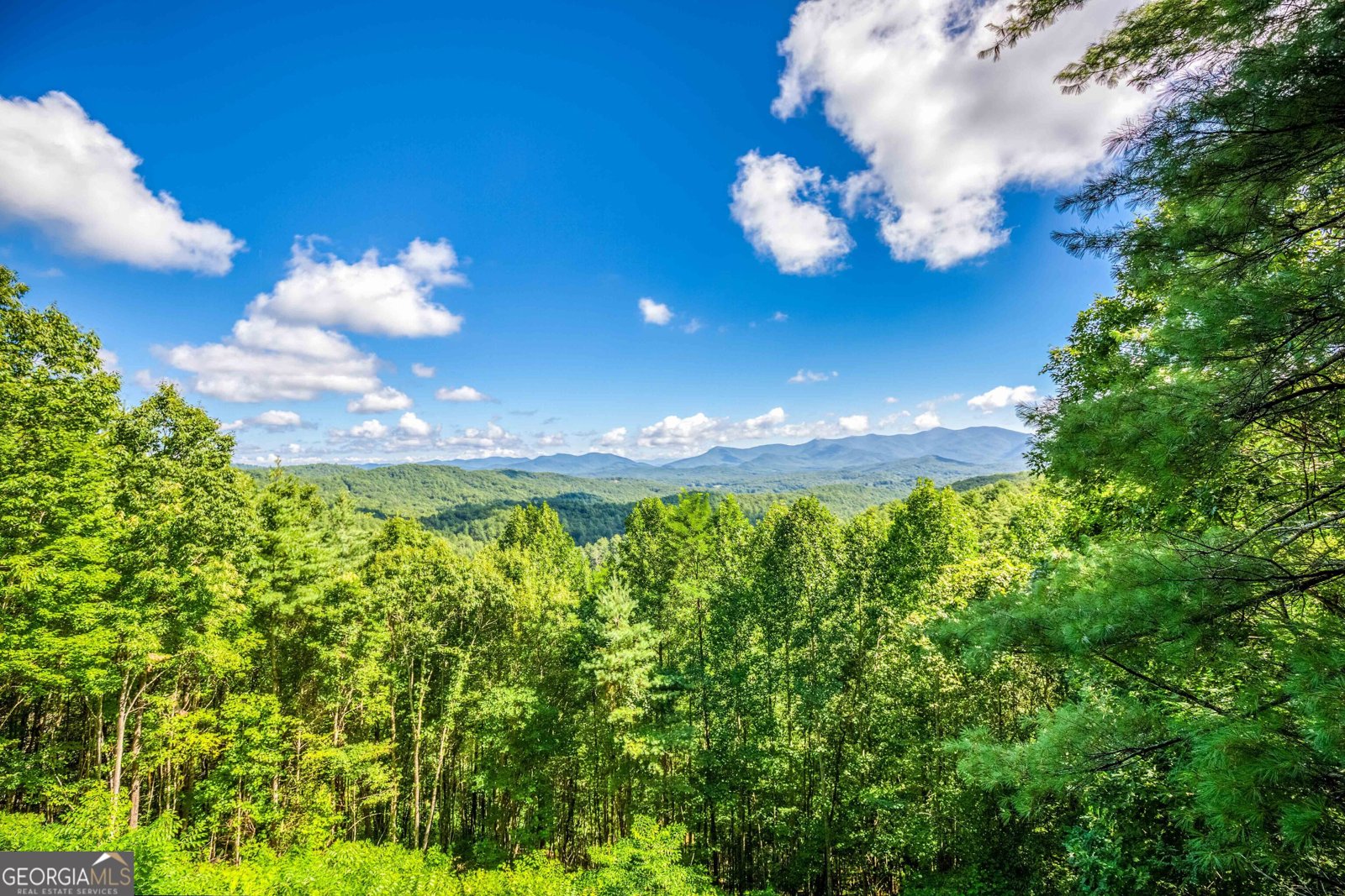 411 Chestnut Cove Road Blairsville - 7