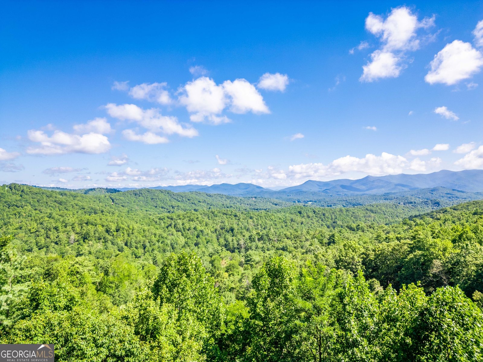 411 Chestnut Cove Road Blairsville - 8