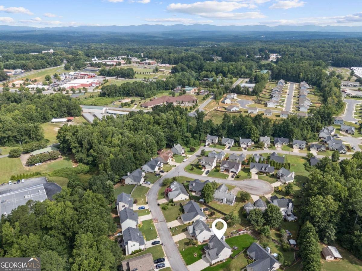 113 Sandberg Way Dawsonville - 7