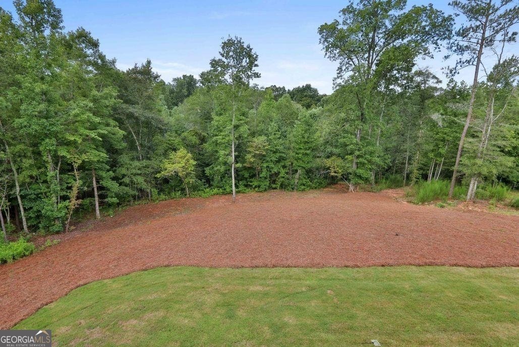 215 Walden Pond Trail Senoia - 45