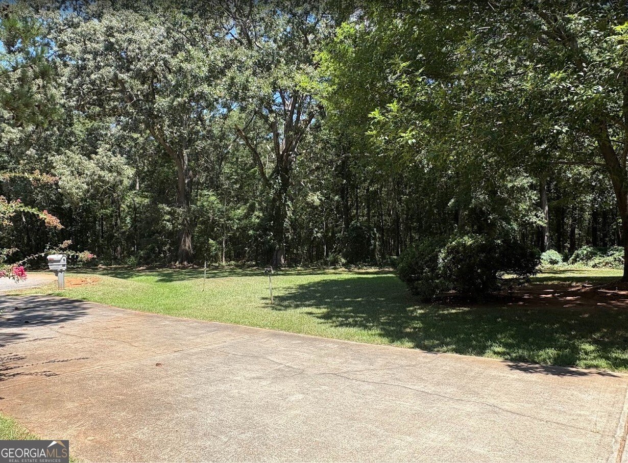 61 Clifton Drive Forsyth - 29