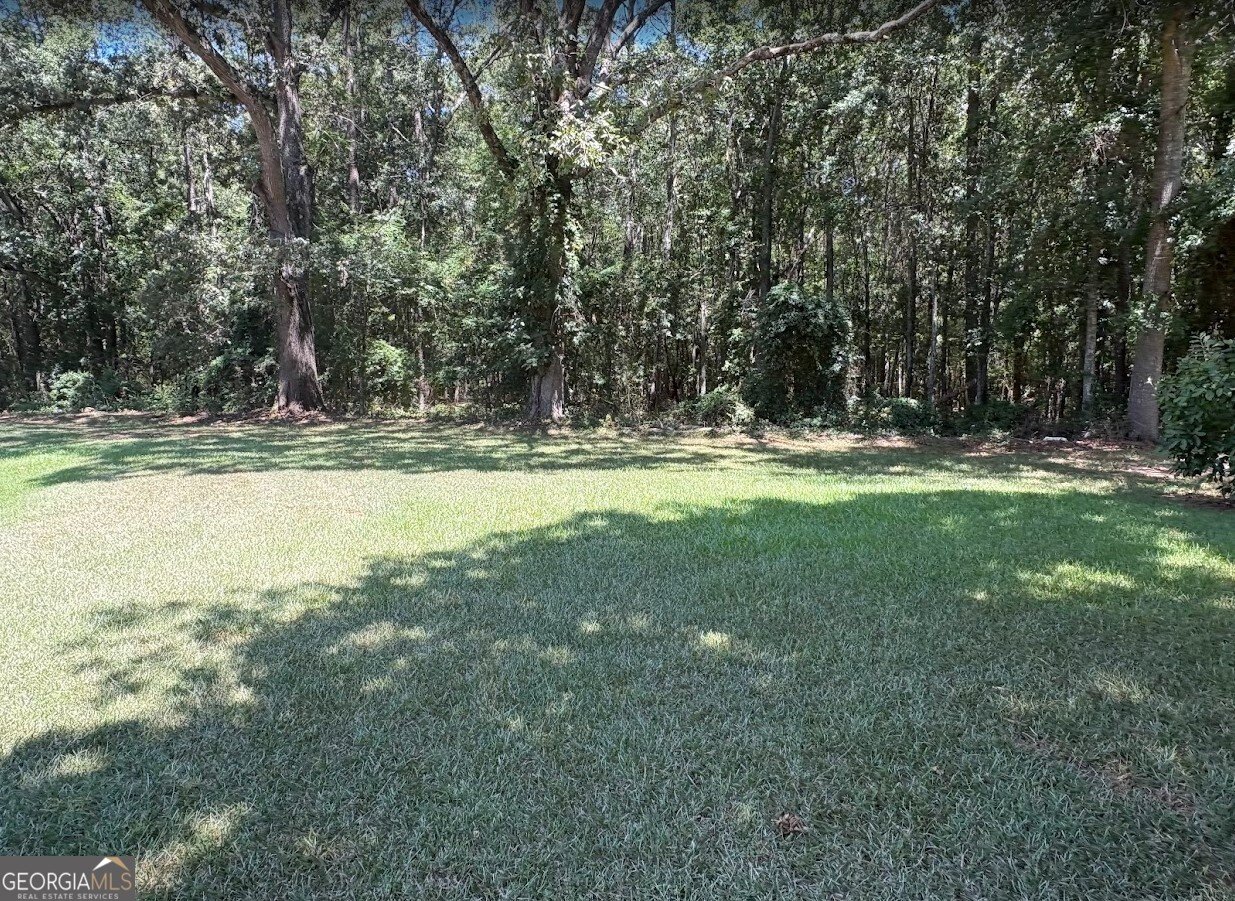 61 Clifton Drive Forsyth - 30