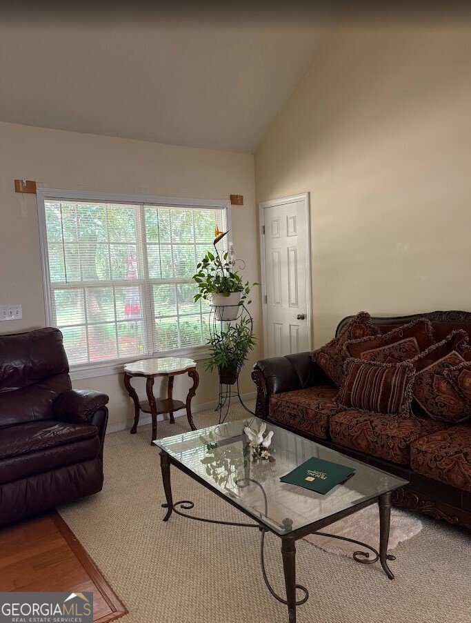 61 Clifton Drive Forsyth - 6