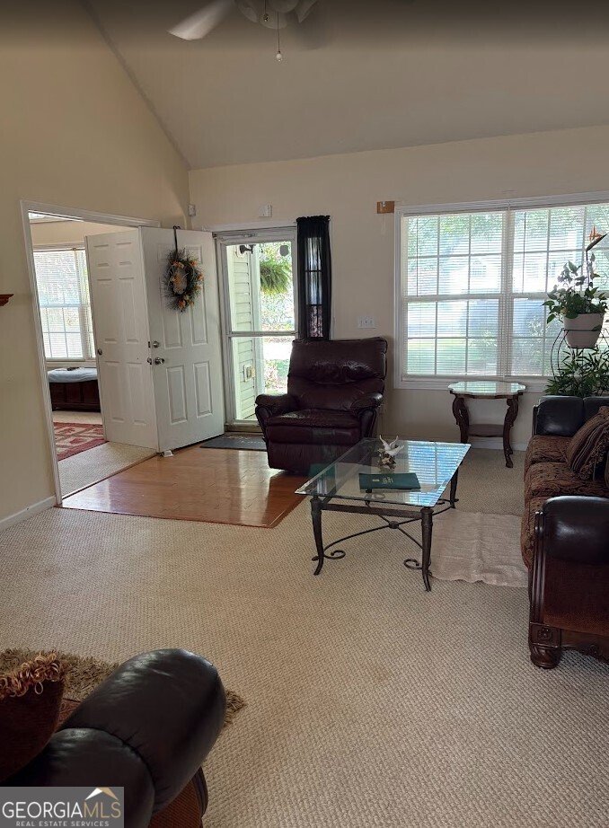 61 Clifton Drive Forsyth - 7