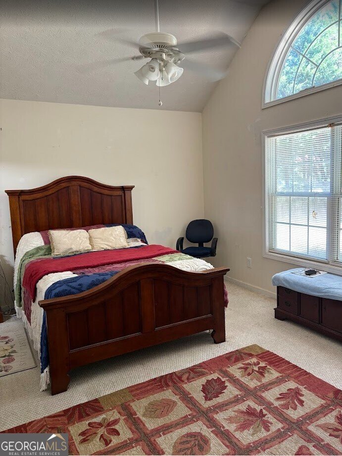 61 Clifton Drive Forsyth - 9